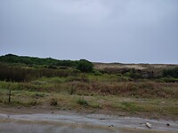 IMG_20250205_162843
