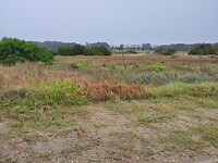IMG_20250205_162822