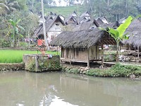 DSCN3882