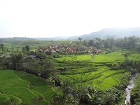 DSCN3871