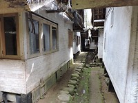 DSCN3884