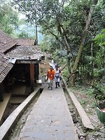 DSCN3894