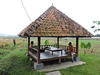DSCN3971
