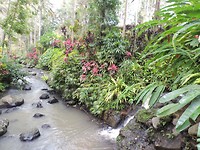 DSCN4068