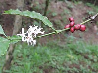 DSCN4091
