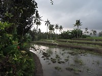 DSCN4105