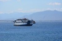 DSC_1006