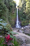 DSC_1045 (1)