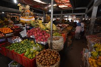 DSC_0017