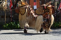 DSC_0319