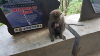 20180408_102048