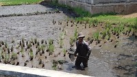 20180419_123157