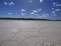 Zoutvlaktes van Coorong NP