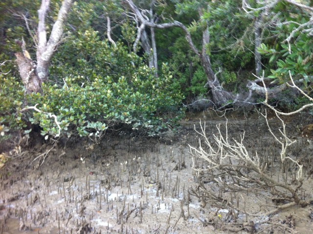 IMG_5027