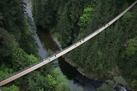 capilano suspension bridge