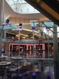 IMG_4062[1]