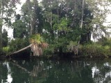 IMG_4085[1]