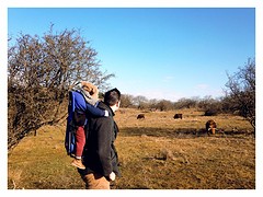 20160305_091552918_iOS