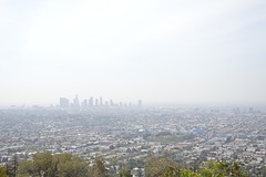 DSC_4425