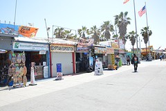 DSC_4586