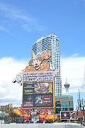 DSC_0331