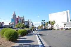 DSC_0335
