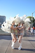 DSC_0351