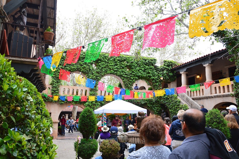 DSC_0764