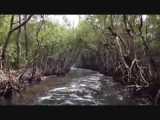 Airboat 1