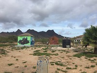 IMG_1314