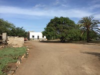IMG_1327