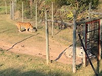 IMG_8364