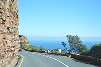 DSC_0288 (2)