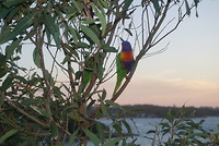 Natuur