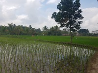 20190824_094028