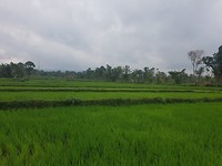 20190824_093758
