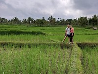 IMG-20190827-WA0006