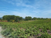 20170924_115346