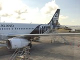 Vlucht Auckland - Queenstown