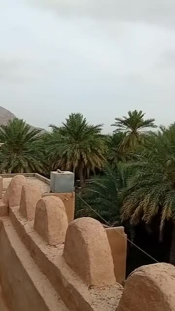 20240320_172643