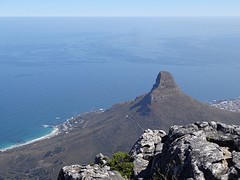 Lion's Head