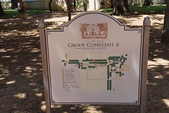 G C