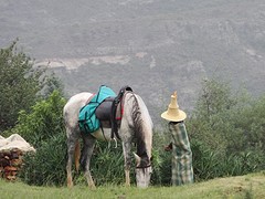 Herder, met een Lesotho hoed