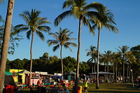 Mindel market