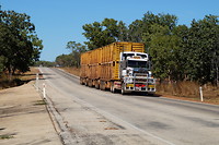 Road train