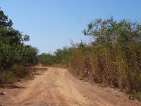 Outback