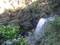 DSC01181
