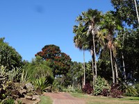 Botanische tuin