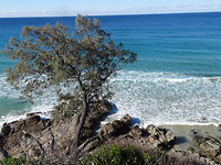 DSC01730