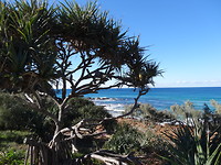 DSC01736